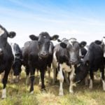 10 Offbeat Stories You Might Have Missed This Week (8/18/18)